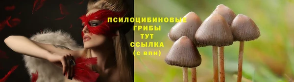 молекула духа Балахна