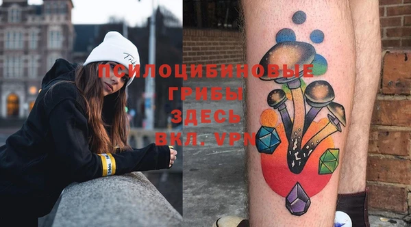 молекула духа Балахна