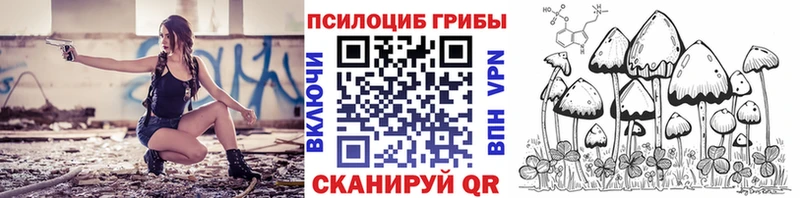 мориарти телеграм  Краснотурьинск  Галлюциногенные грибы Cubensis 
